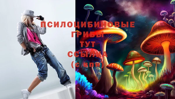 а пвп мука Богородицк